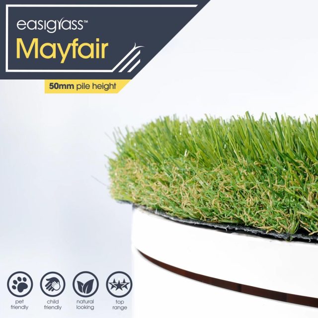 Easigrass Glasgow