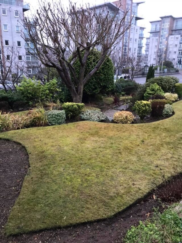 ground before Easigrass artificial grass installation in Queens Road